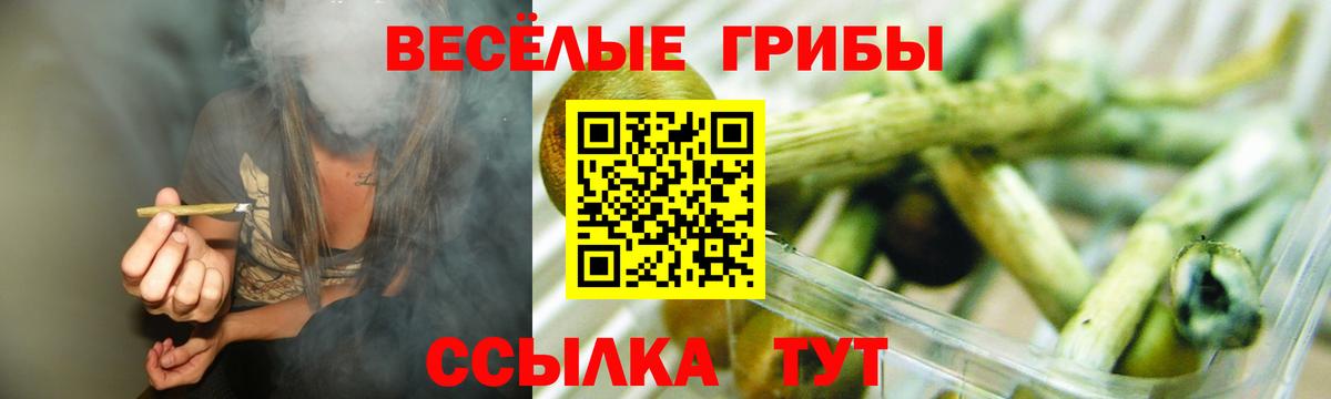 Псилоцибиновые грибы Psilocybine cubensis Прокопьевск